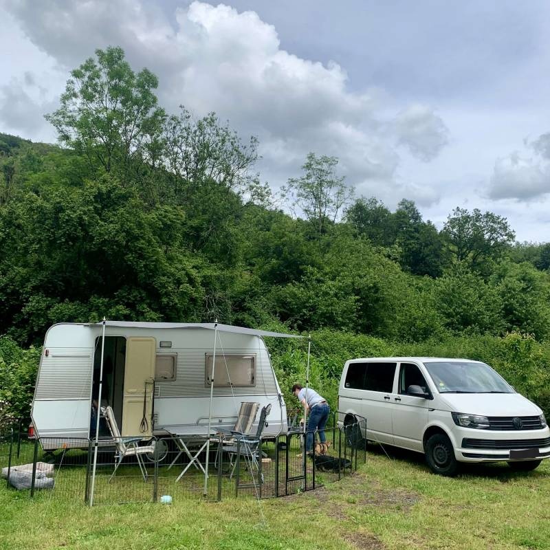 Campingplatz Alf — Sítio de acampamento in Alf