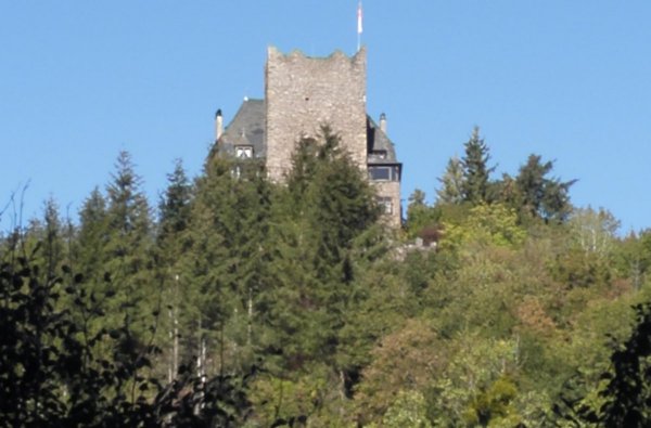 Campingplatz Alf — Photo 2