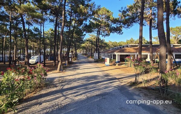 Parque de Campismo Orbitur Sitava Milfontes