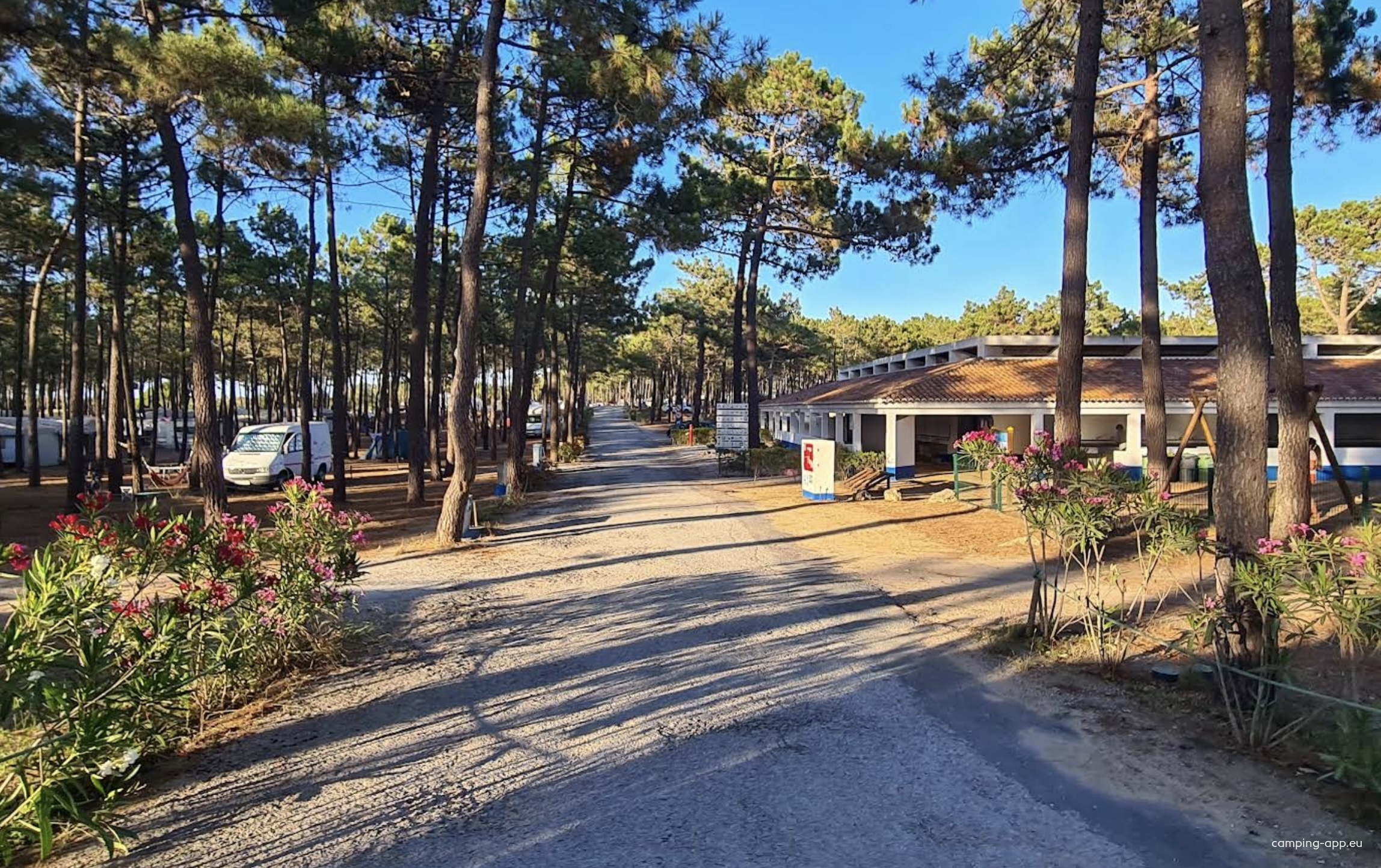 Parque de Campismo Orbitur Sitava Milfontes — Kemping in Vila Nova de Milfontes
