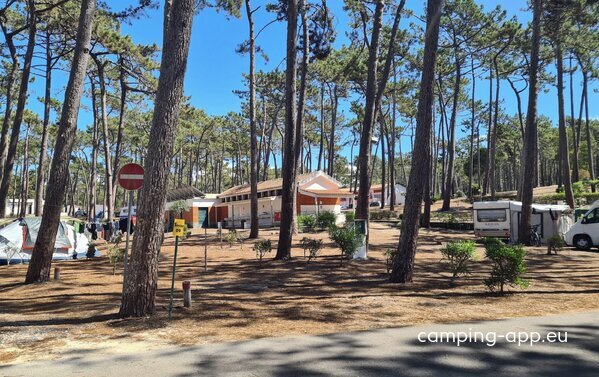 Orbitur S Pedro De Moel — Photo 3