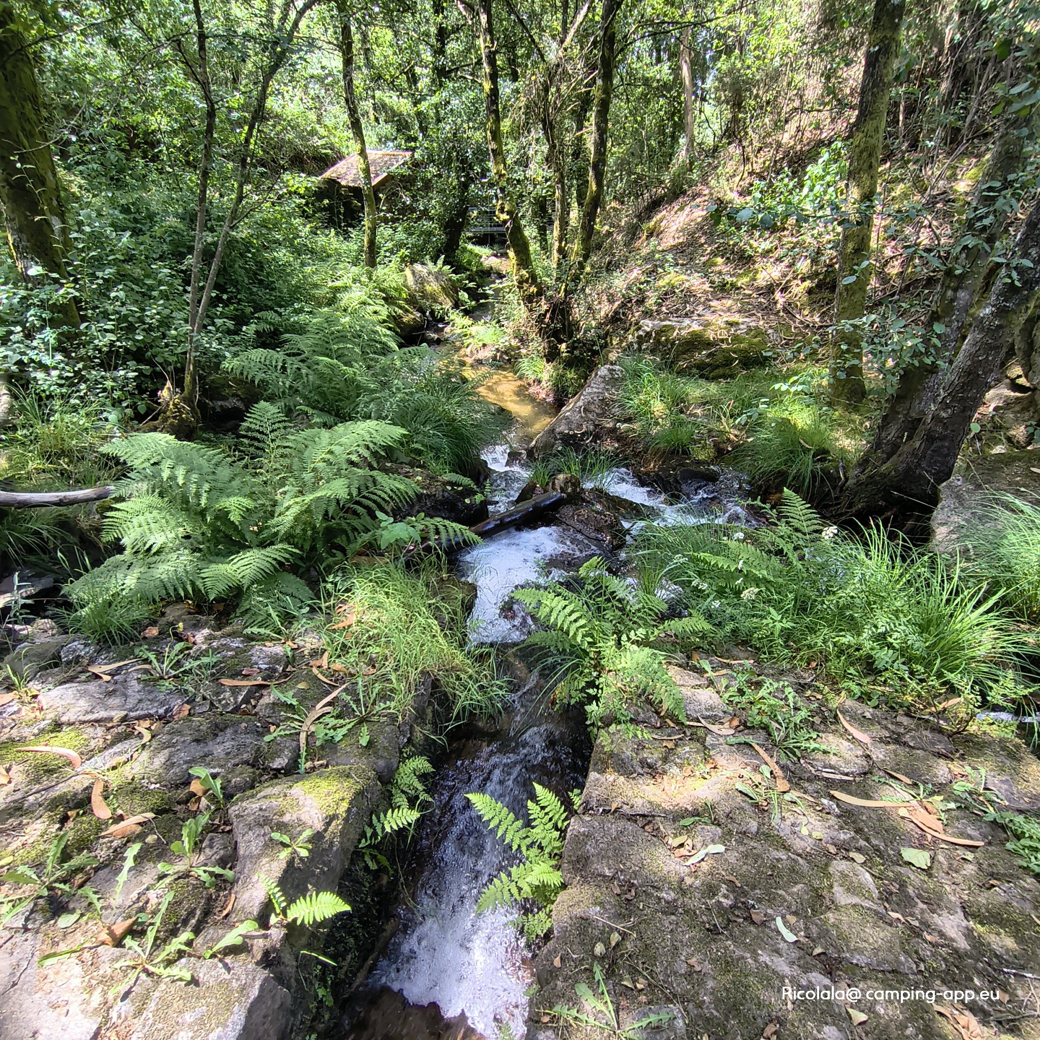 Camping Quinta Valbom — Foto 5