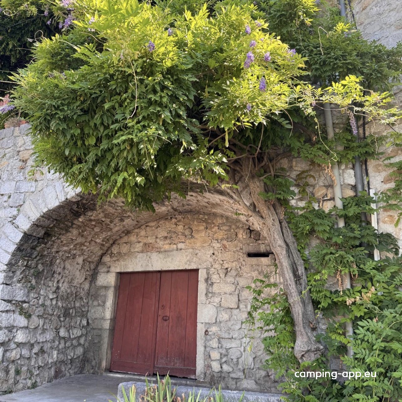 Camping du vieux pont — Fotografie 2