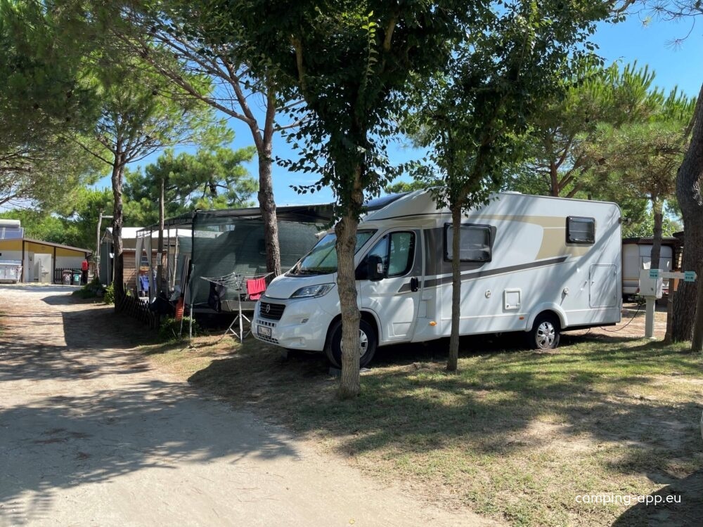 Camping Pineta — Camping in Casalborsetti