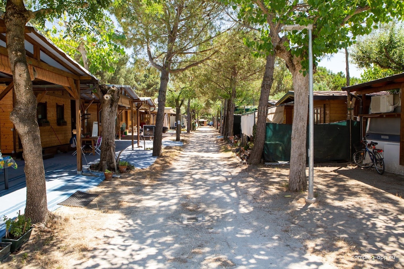 Camping Pineta — Camping in Casalborsetti