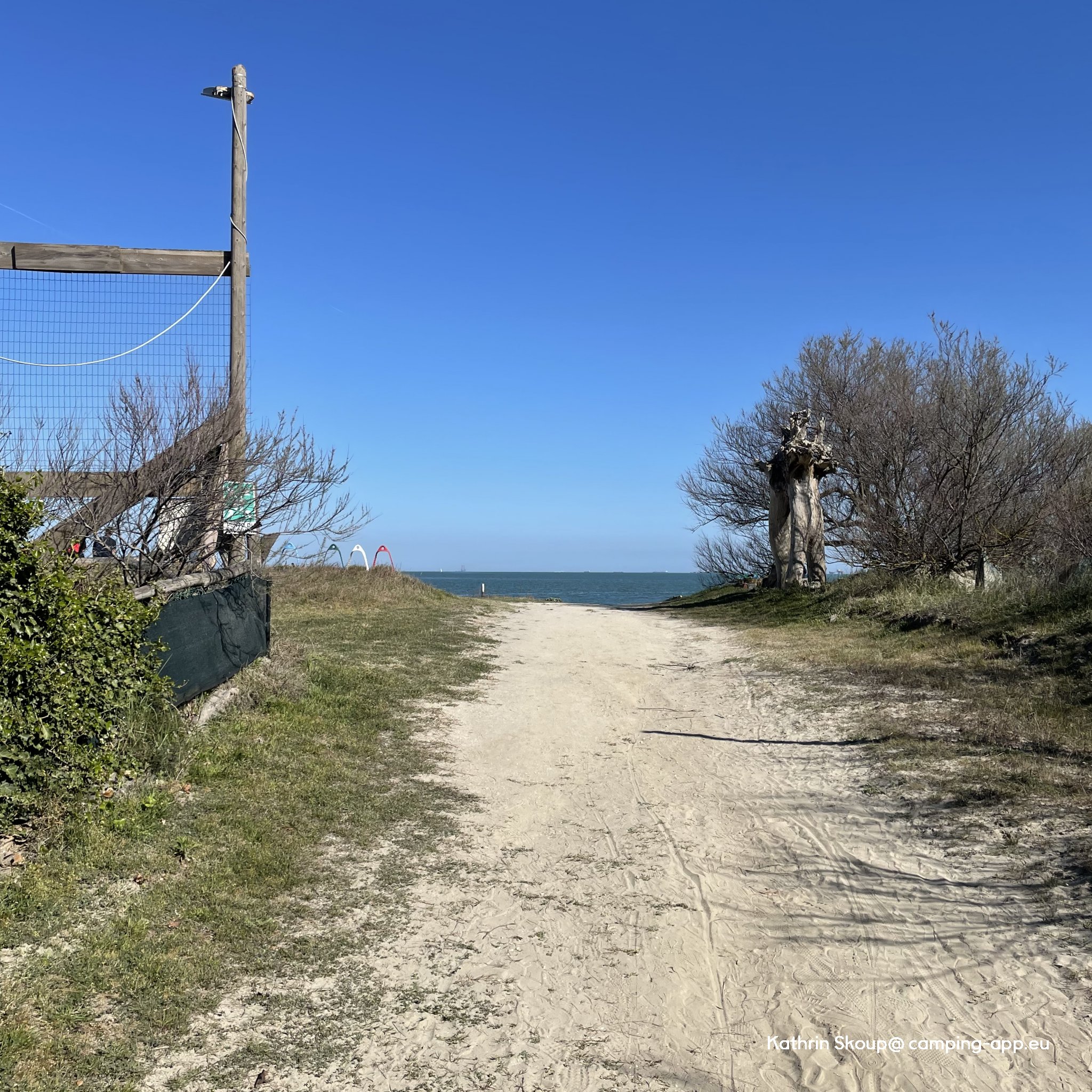 Camping Pineta — Foto 4