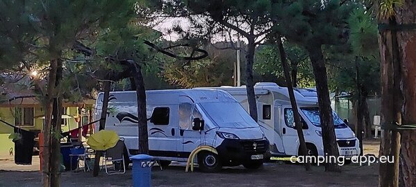 Camping Pineta — Photo 5