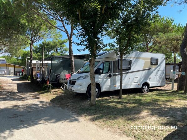 Camping Pineta