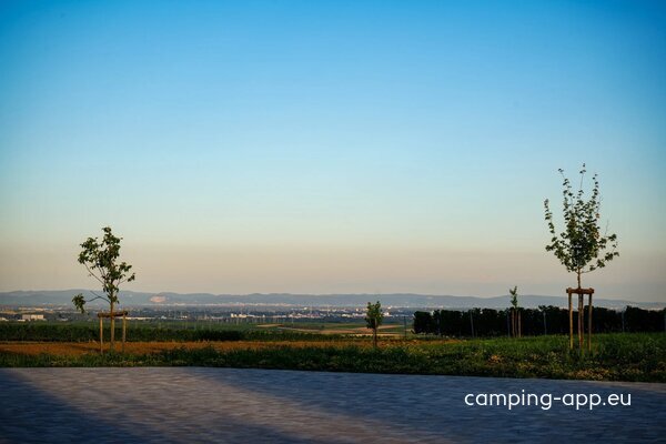 Weingut Peth