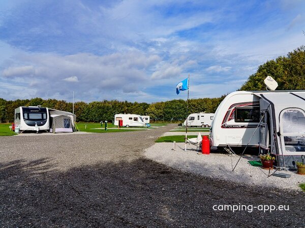 Mr Moo's Touring Site — Photo 2