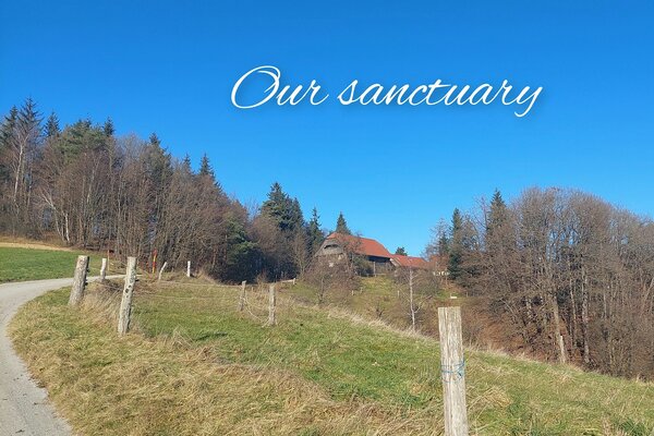 Fairytale Sanctuary