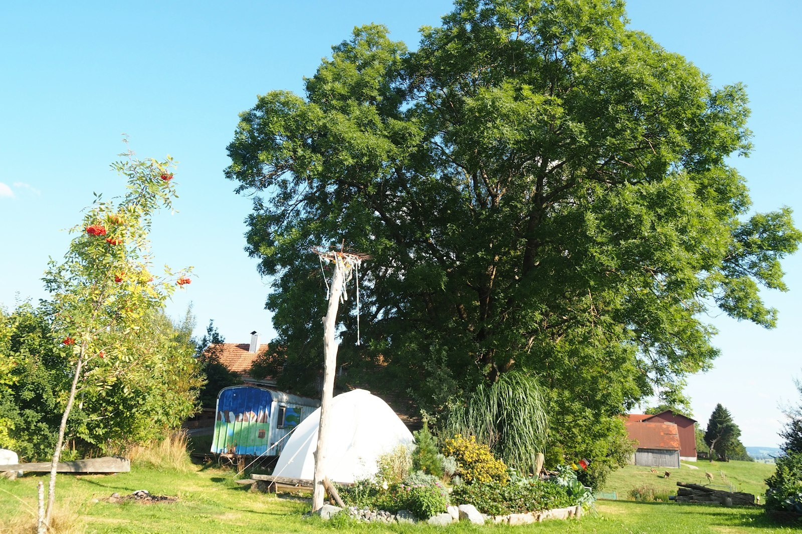 Gartenfreude beim Bergbauer — On private ground in Sontheim