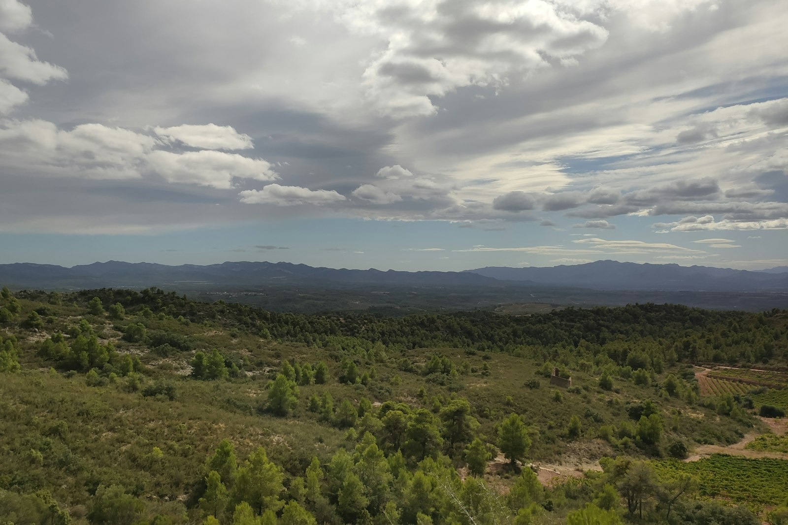 SENDERISMO TERAPIA FORESTAL — Na soukromém pozemku in El Lloar