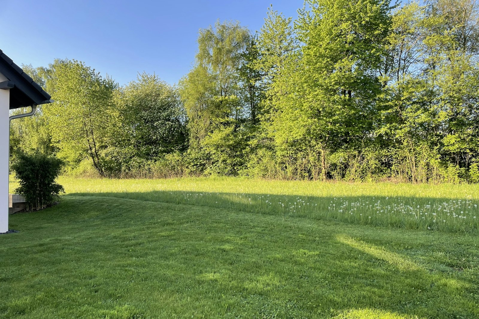 Am Rand vom Ort — On private ground in Weitefeld