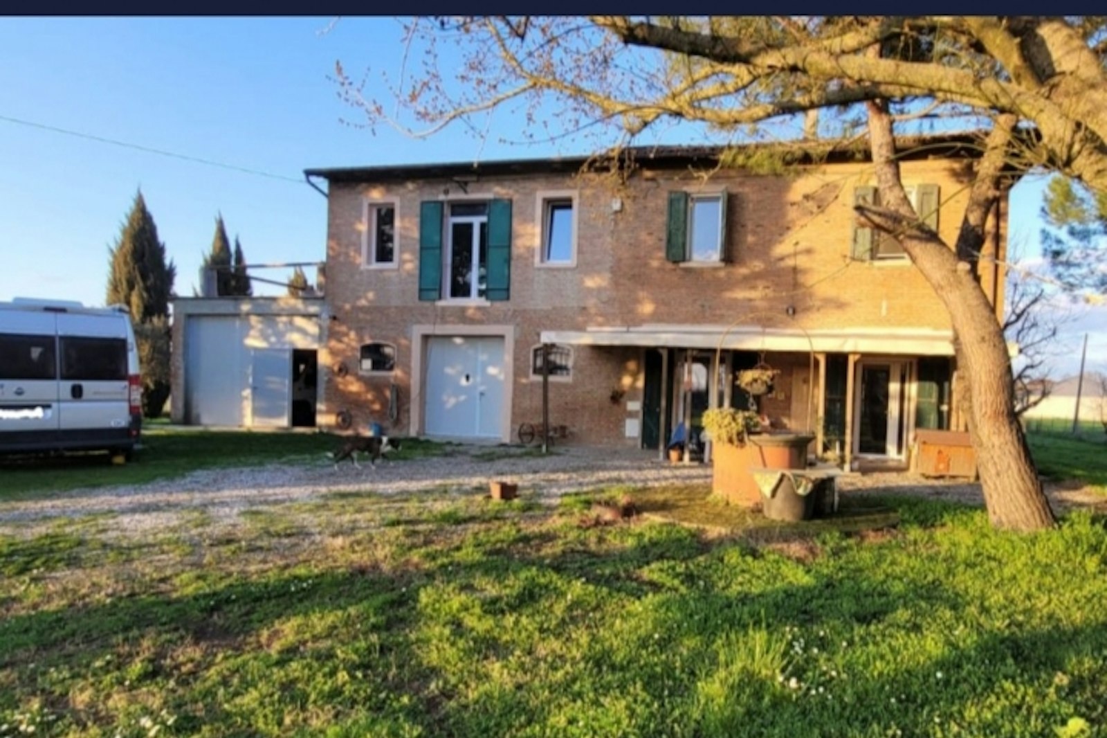 Il prugno contorto — On private ground in Granarolo dell’Emilia