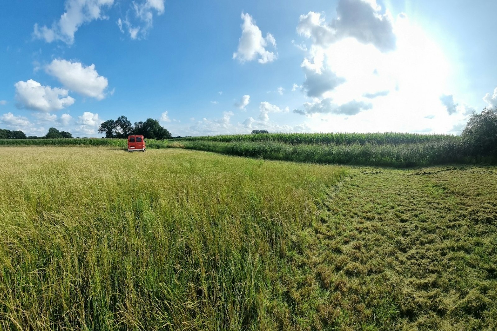Übernachten mitten in der Natur am Bach — On private ground in Rheine