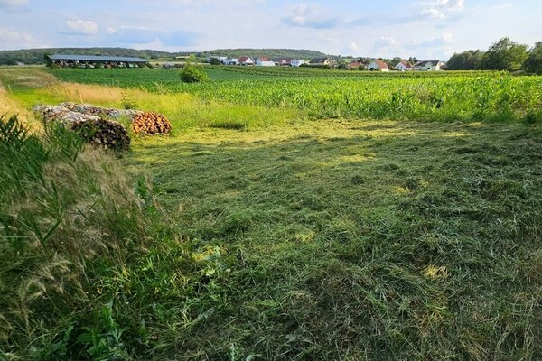 Platzerl am Bach