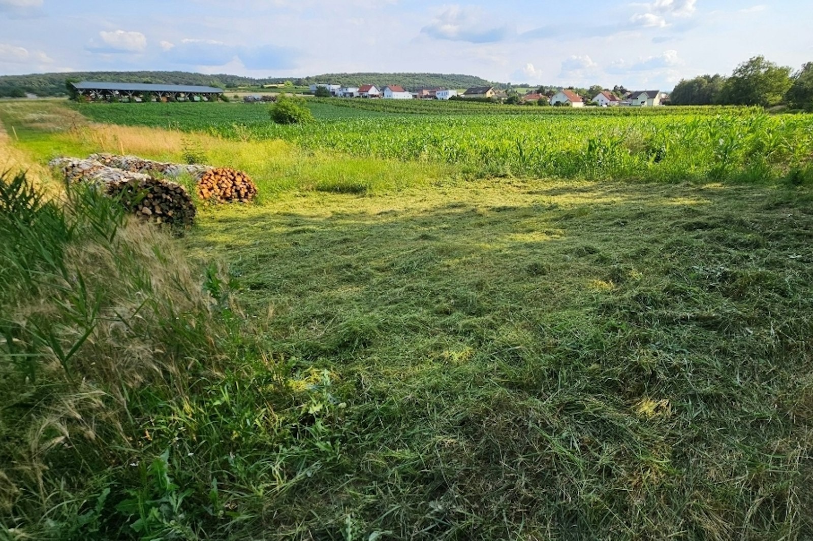 Platzerl am Bach — On private ground in Pöttelsdorf