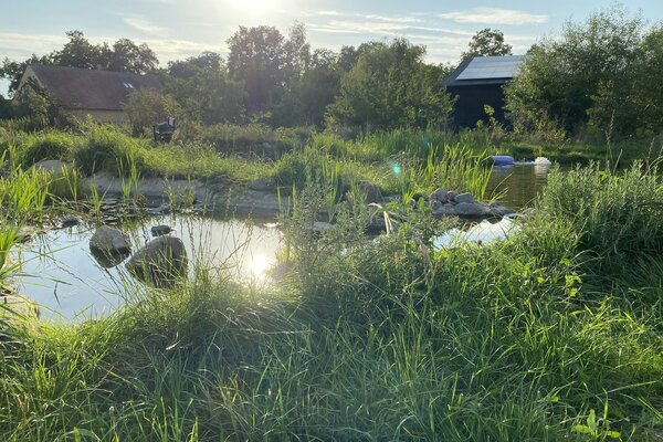 Stellplatz zwischen Teich und Bio Gärtnerei