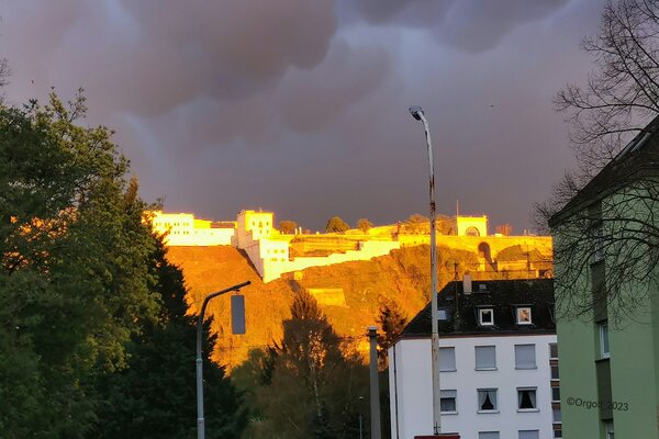 Stadtnah - zentral versteckt im Grünen