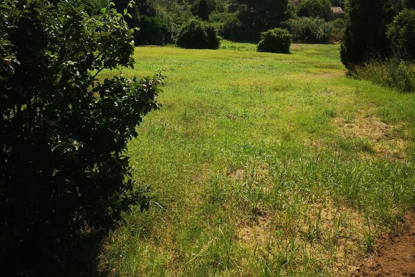Riserva naturale attrezzata "I Carusi"