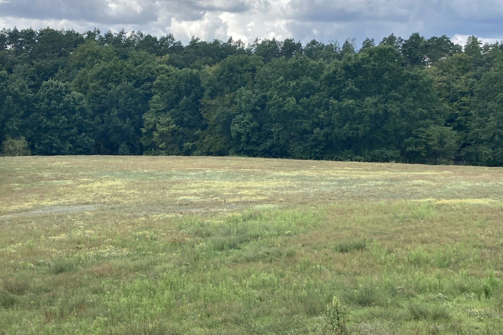 Havel-Wiese — On private ground in Fürstenberg