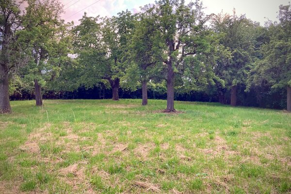 Stadtrandidyll – Campen im Wandelgrund