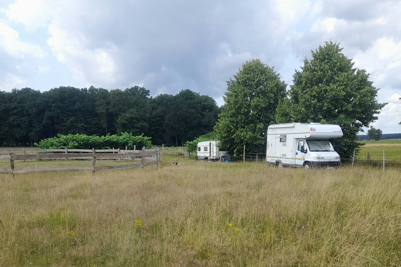 Wiese an der Pferdekoppel — On private ground in Hohen Pritz