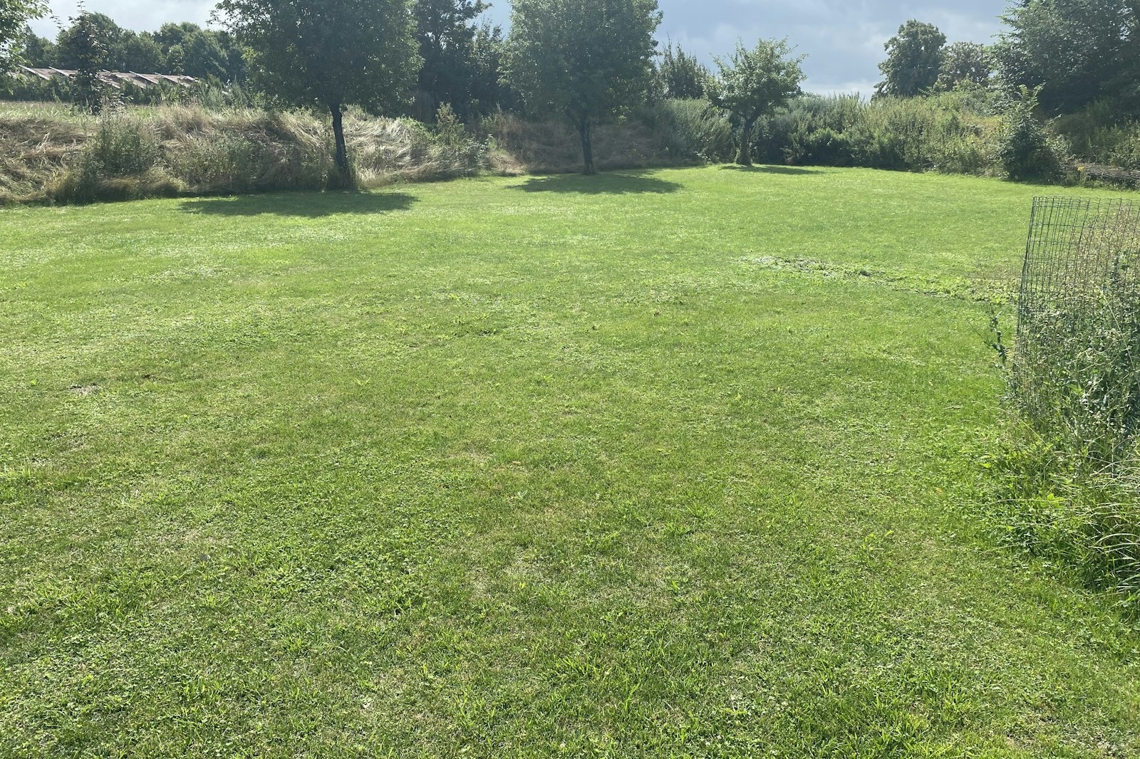 Wiese — On private ground in Warendorf