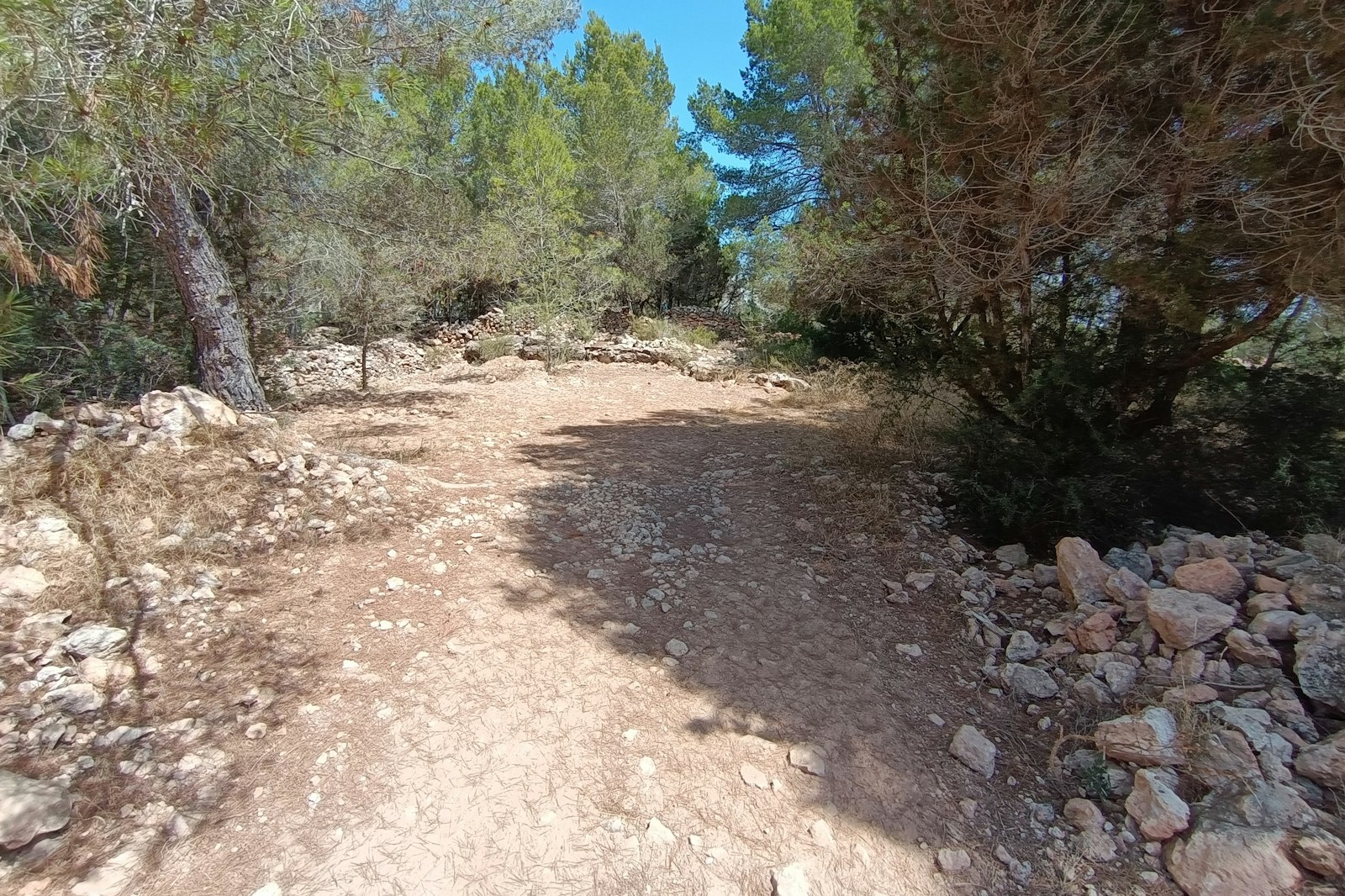 Terreno llano y sombreado — On private ground in Sant Josep de sa Talaia
