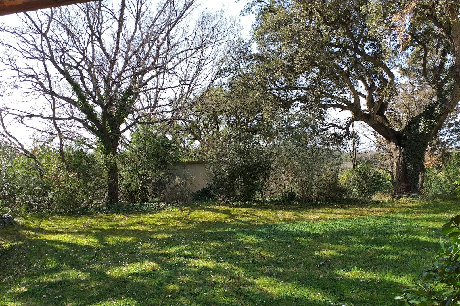 Agricampeggio Poggio Rossino — Privatgrundstück in Magliano in Toscana