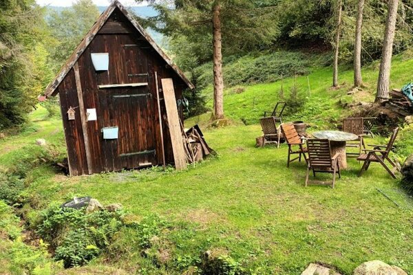 Heuhütte mit Wiese am Waldrand