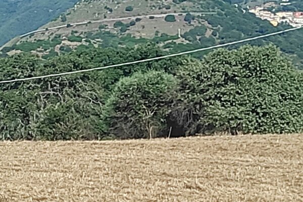 Ai piedi del castello