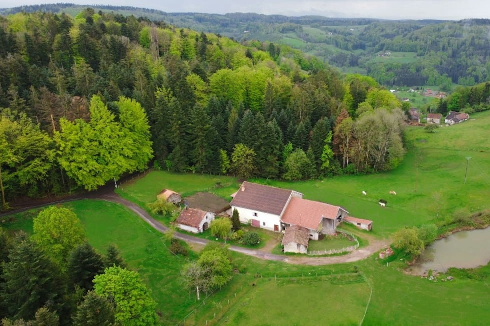 en haut de la montagne entre près et forêt — On private ground in Le Val-d’Ajol