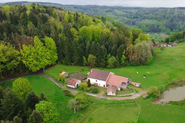 en haut de la montagne entre près et forêt