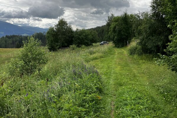 Sonniger Zelt- / Stellplatz im steirischen Zirbenland