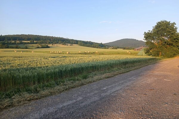 Steinsburgblick