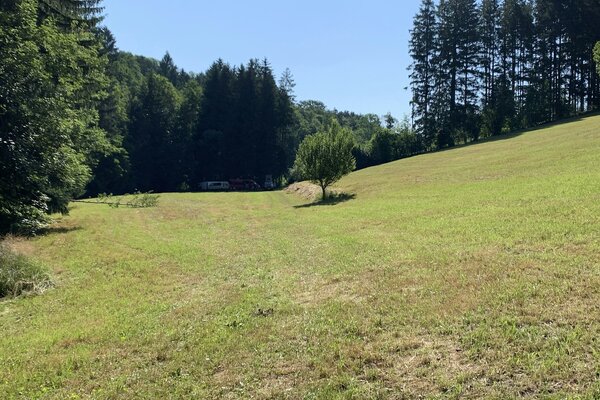 Natur pur: Alleinlage am Waldrand neben dem Bach