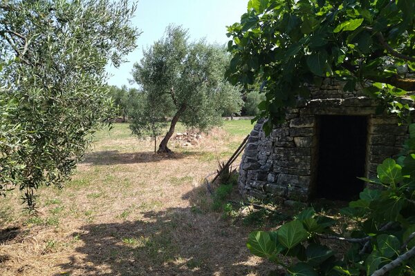 IL PARCO DEI SOGNI