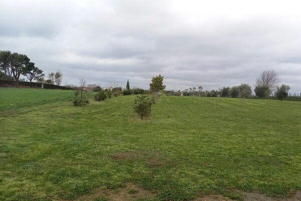 SOSTA CAMPER RANCH