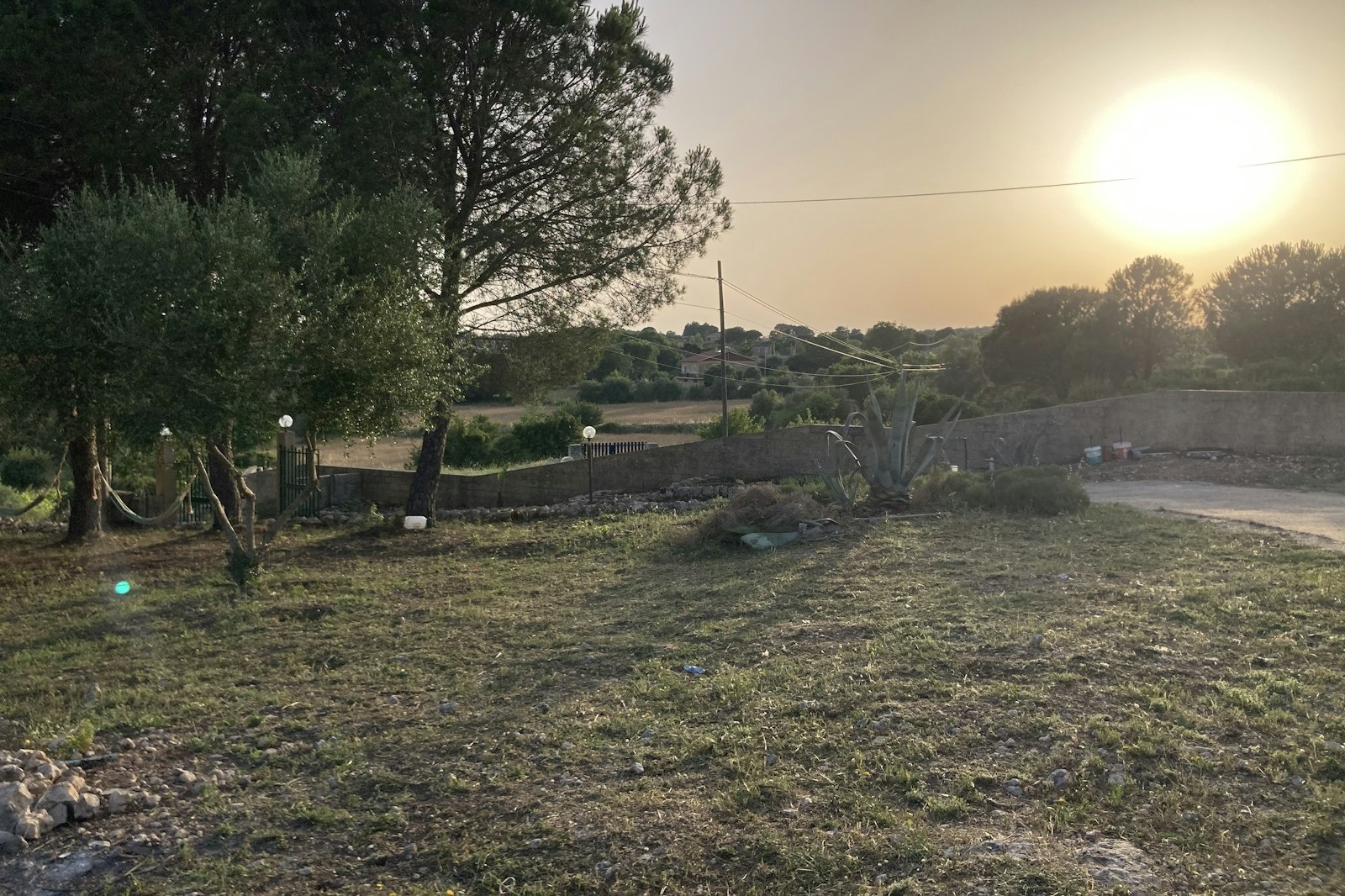 All’ombra dei pini — On private ground in Noto