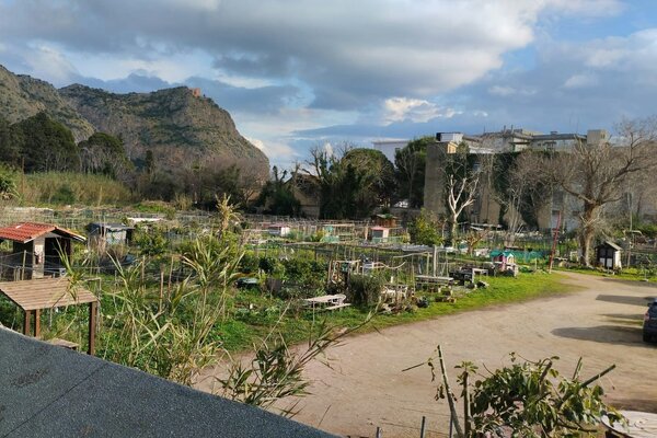 OASI VERDE IN CITTA' DI PALERMO