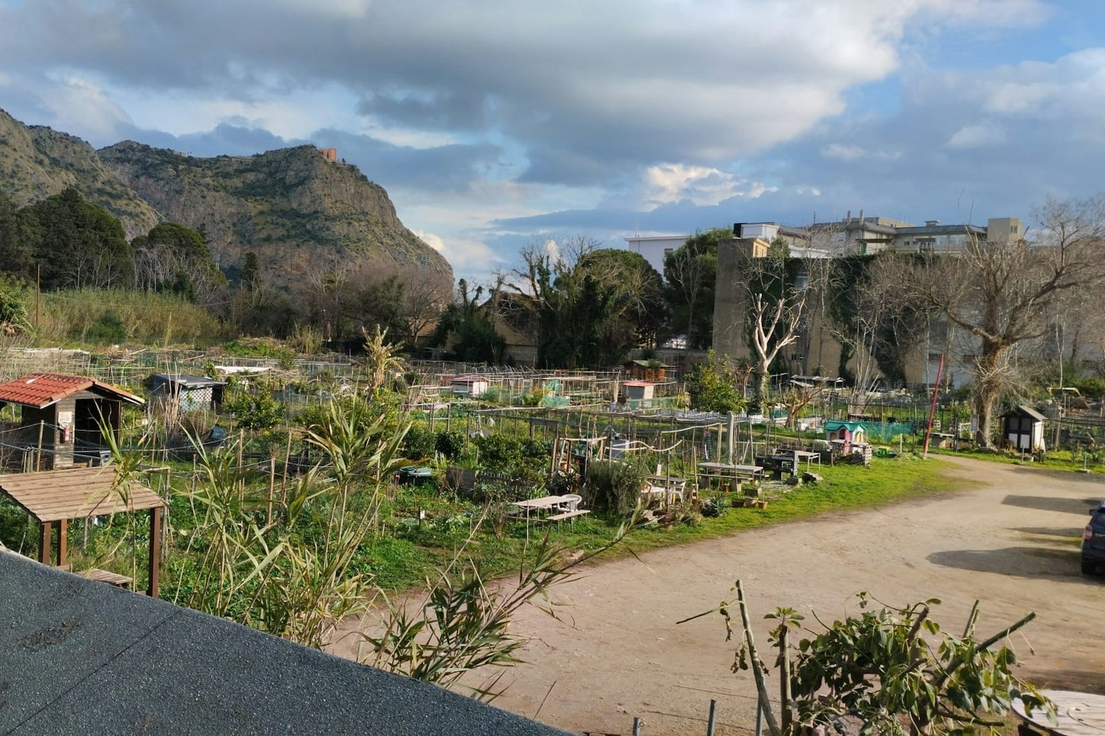 OASI VERDE IN CITTA' DI PALERMO — On private ground in Palermo