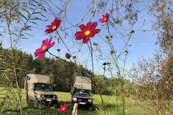 Naturidyll am Karpfenweiher