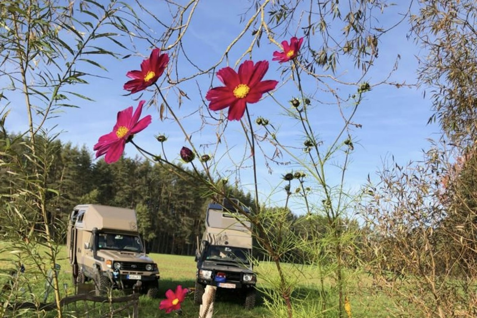 Naturidyll am Karpfenweiher — On private ground in Georgensgmünd