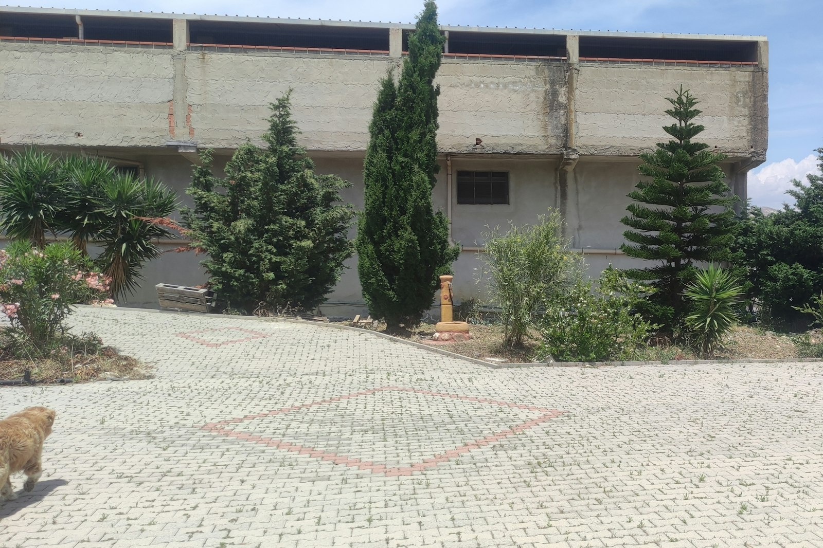 Natura Mare e Collina — On private ground in Licata