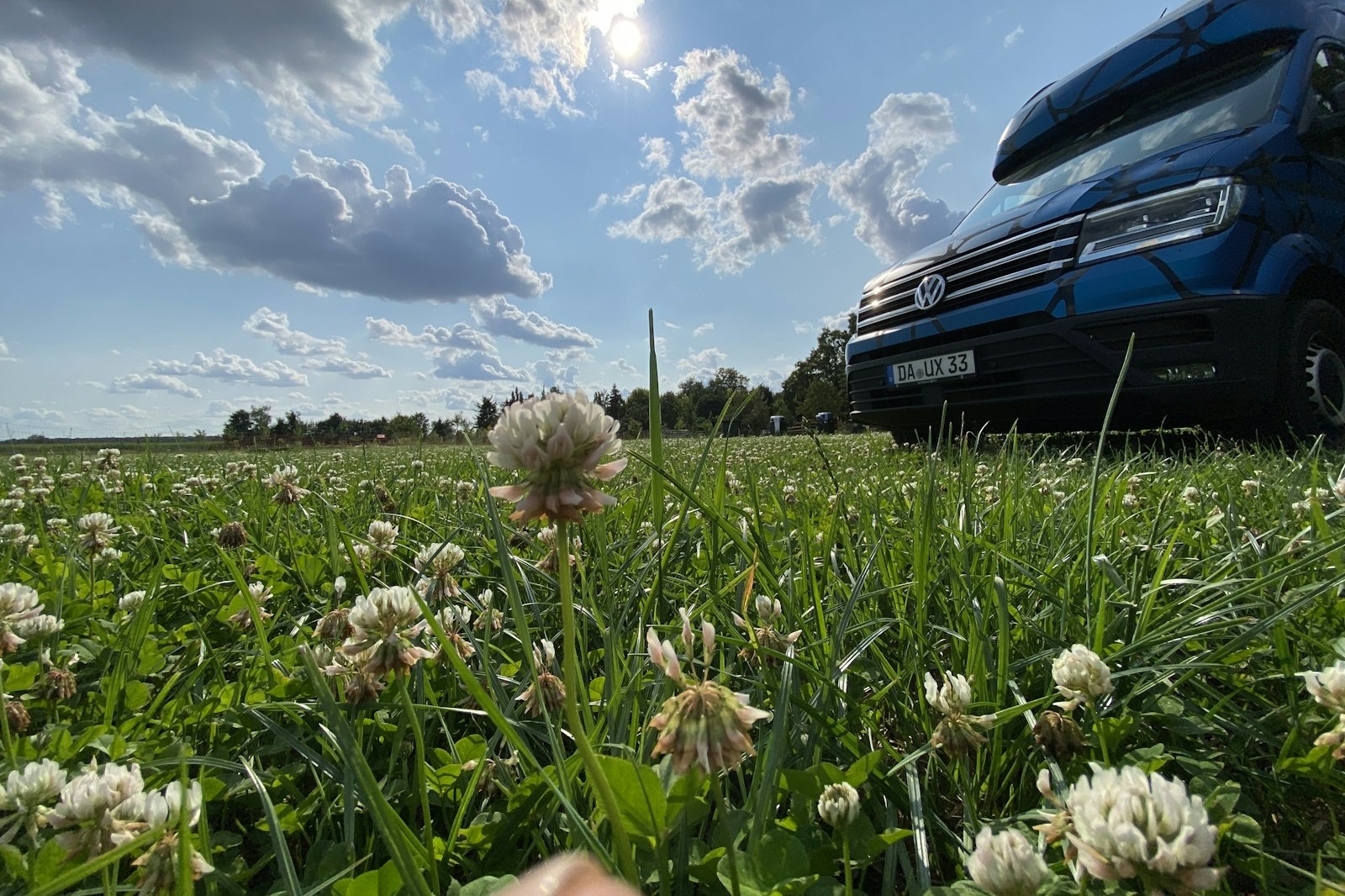 Wiese am Waldrand# — On private ground in Babenhausen