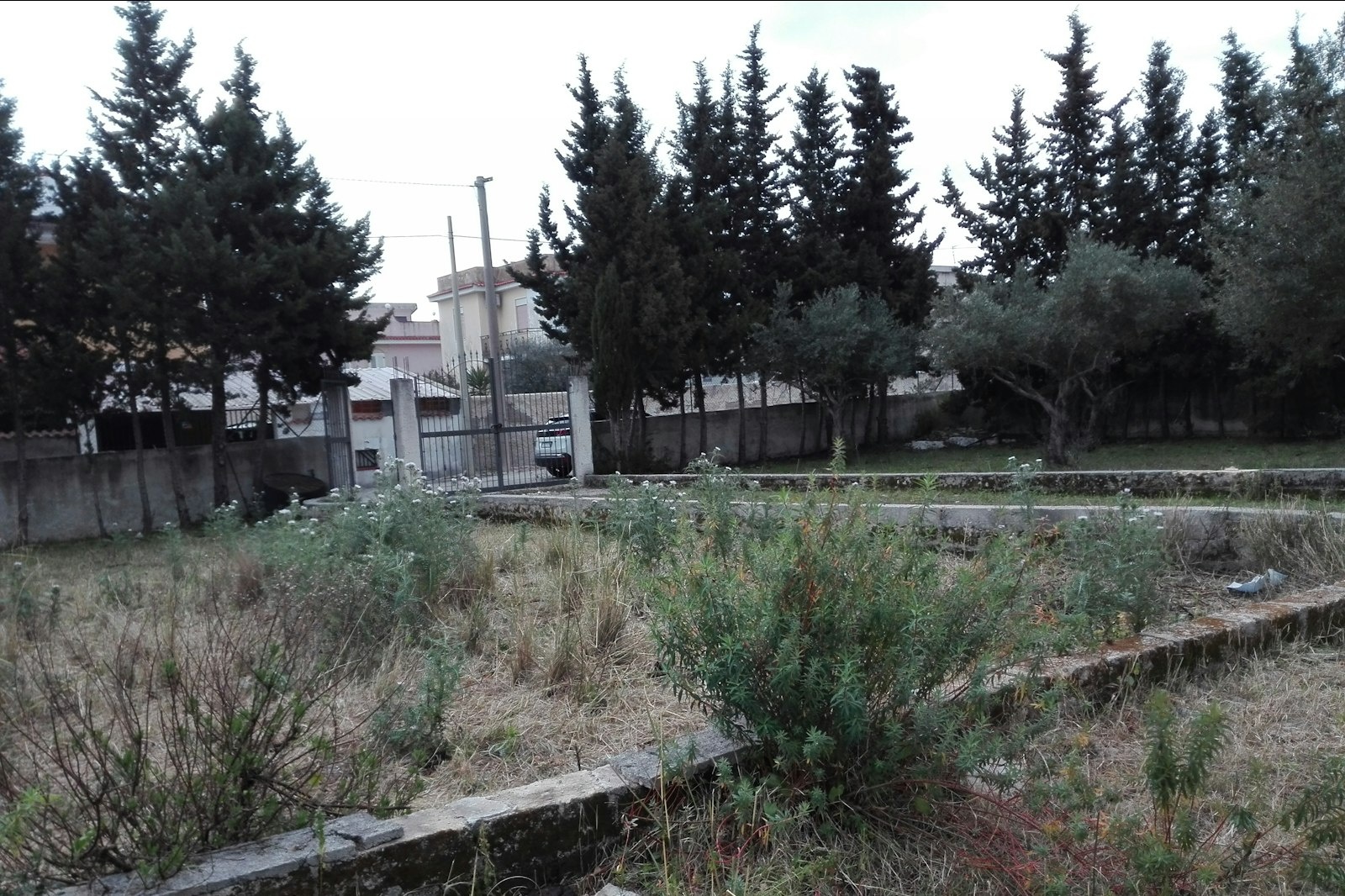 Siracusa — On private ground in Syrakus