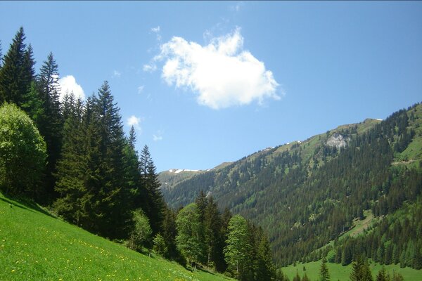 Hansbauerhof