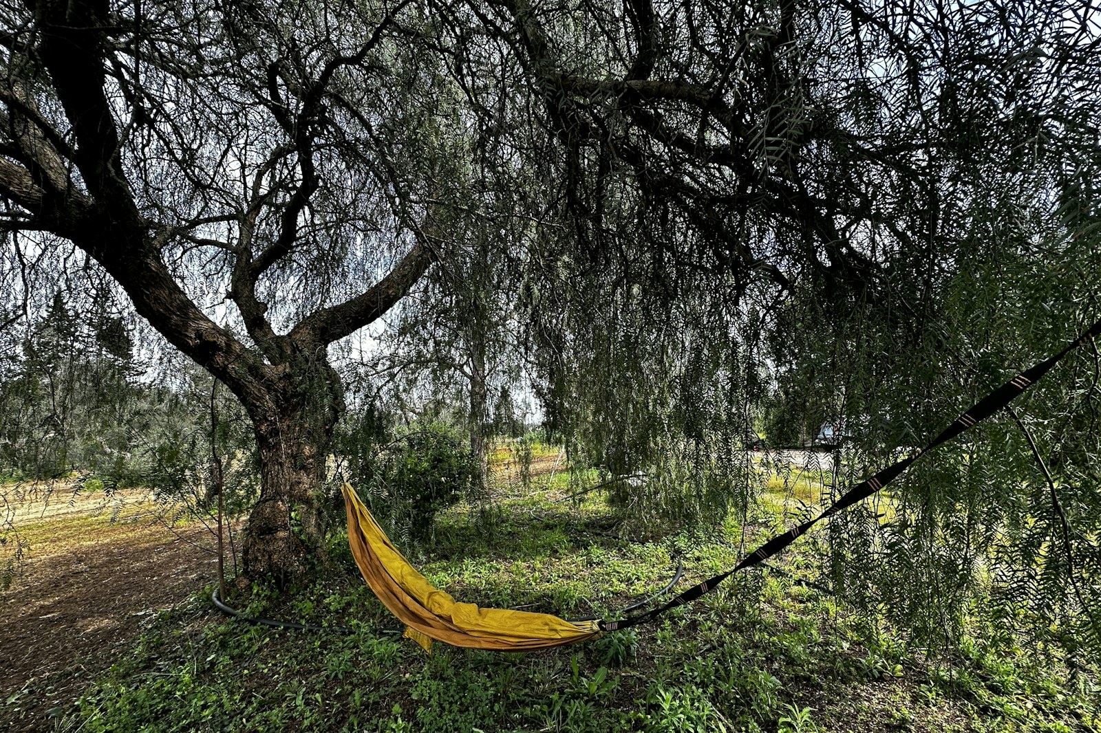 ChioGarden — On private ground in Bagnolo del Salento